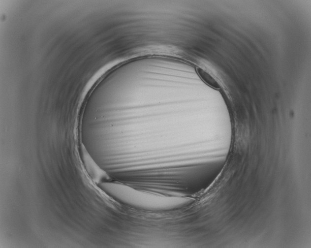 X0000085021339200703261211