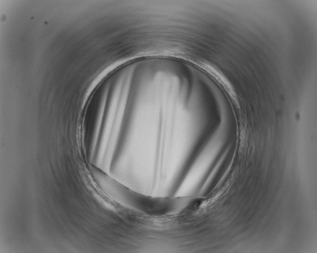X0000085021340200703261211
