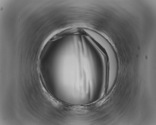 X0000085021342200703261211