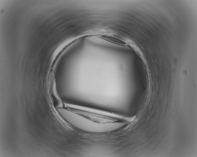 X0000085021344200703261211