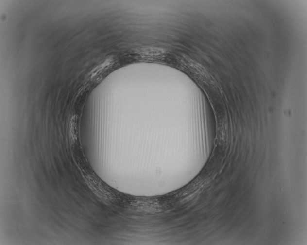 X0000085021346200703261210