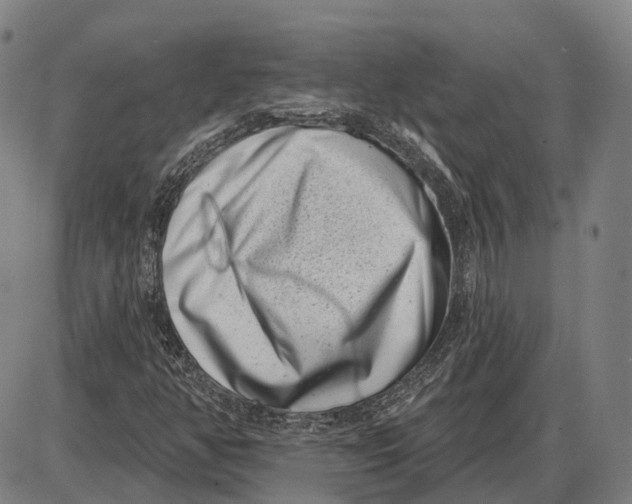 X0000085021350200703261210