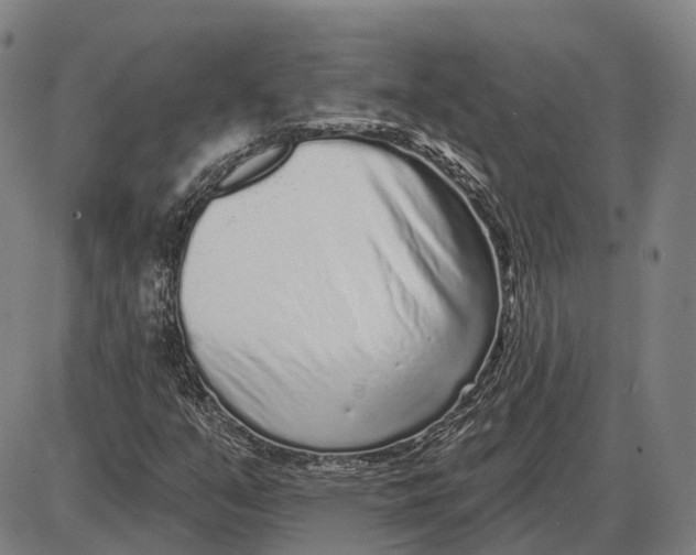 X0000085021351200703261210