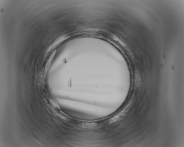 X0000085021354200703261210