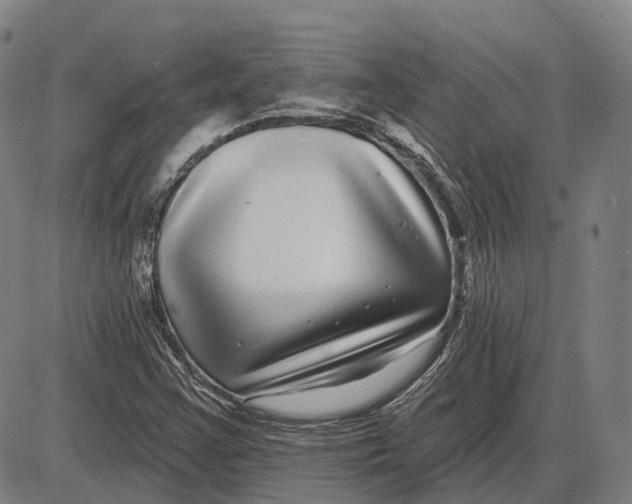 X0000085021355200703261210