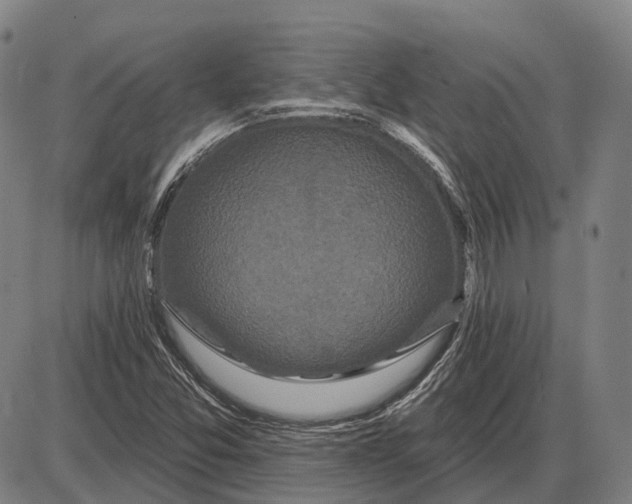 X0000085021357200703261210