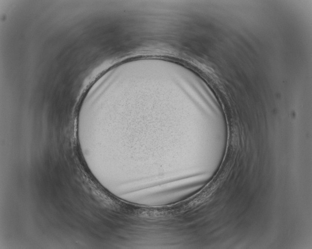 X0000085021366200703261210