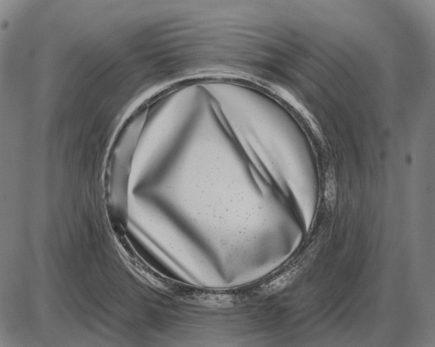 X0000085021372200703261210