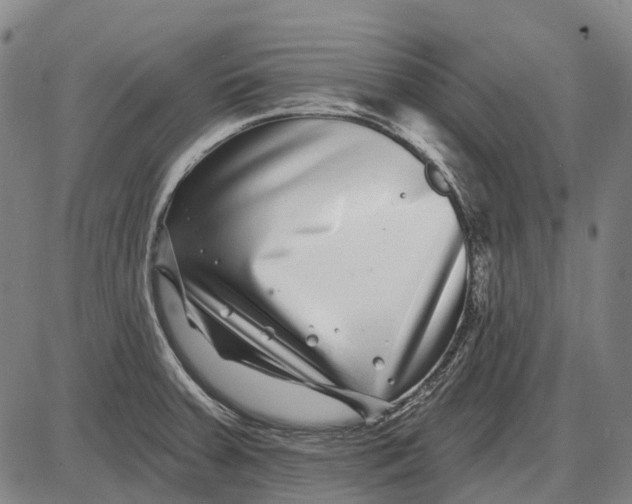 X0000085021379200703261209