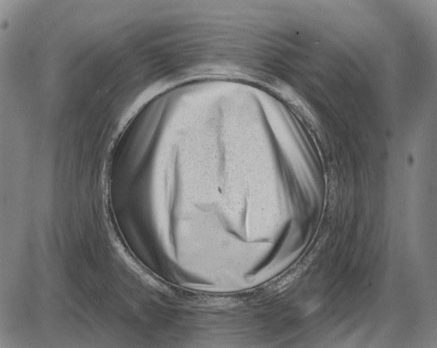 X0000085021382200703261209