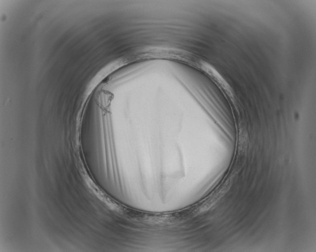 X0000085021386200703261209