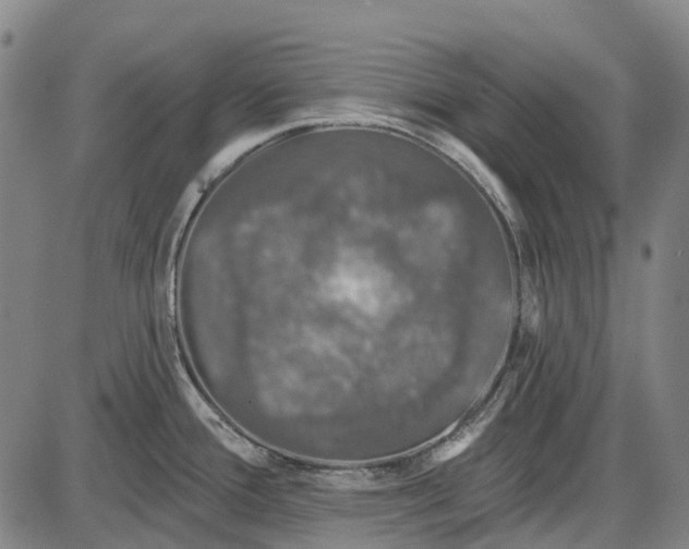 X0000085021388200703261209