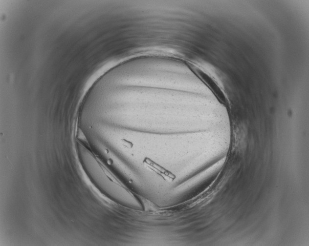 X0000085021391200703261209