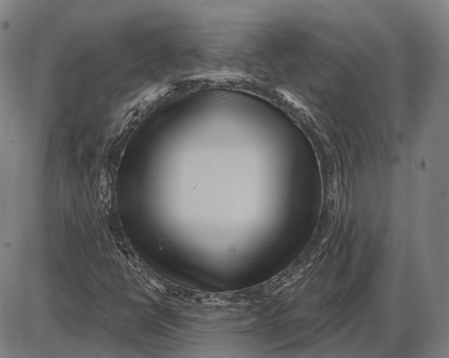 X0000085021398200703261209