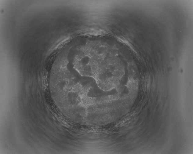 X0000085021399200703261209