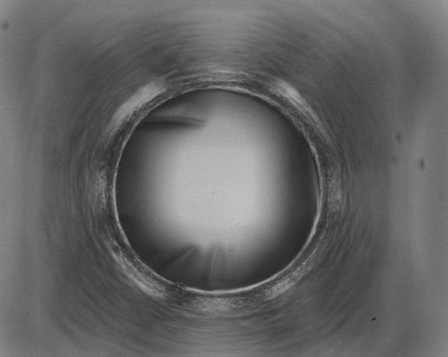 X0000085021402200703261209