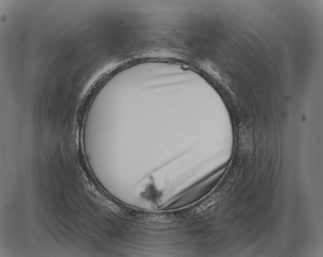 X0000085021408200703261209