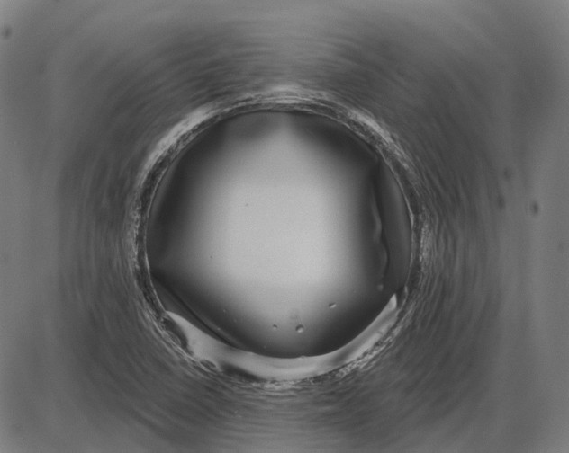 X0000085021410200703261209
