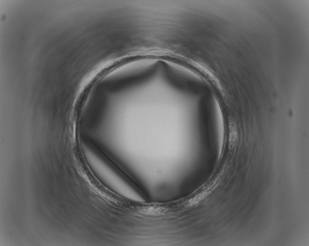 X0000085021414200703261209