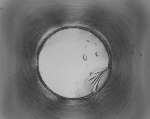 X0000085021416200703261209