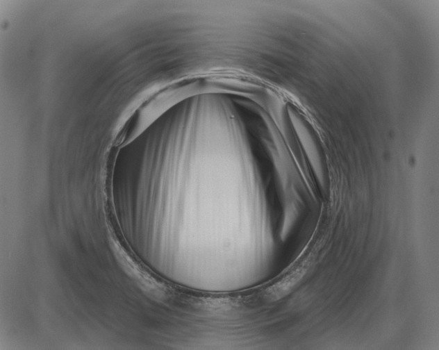 X0000085021422200703261209