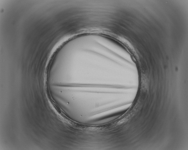 X0000085021424200703261209