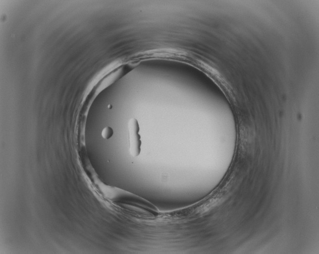 X0000085021426200703261209