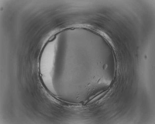 X0000085021428200703261209