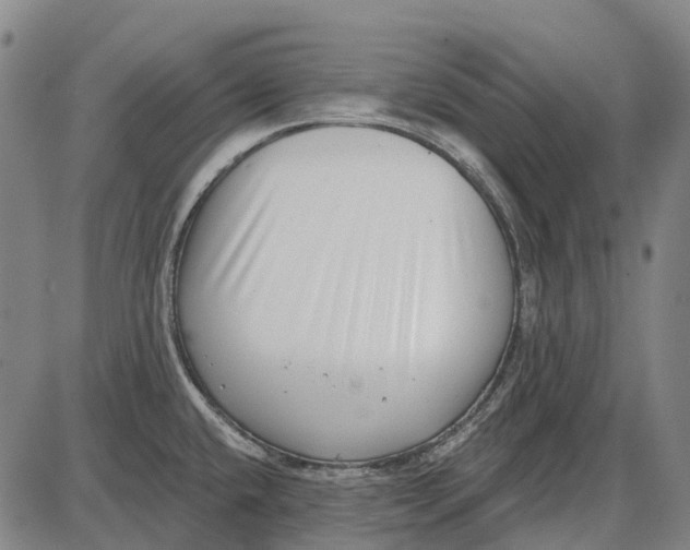 X0000085021432200703261209