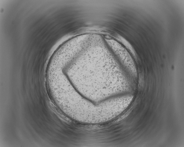 X0000085021435200703261209