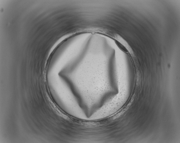 X0000085021436200703261209