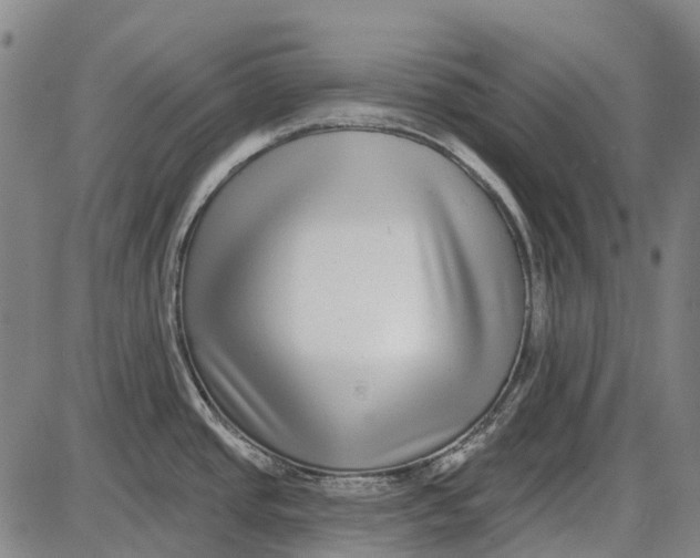 X0000085021437200703261209