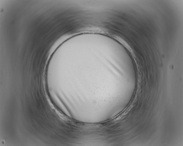 X0000085021440200703261209