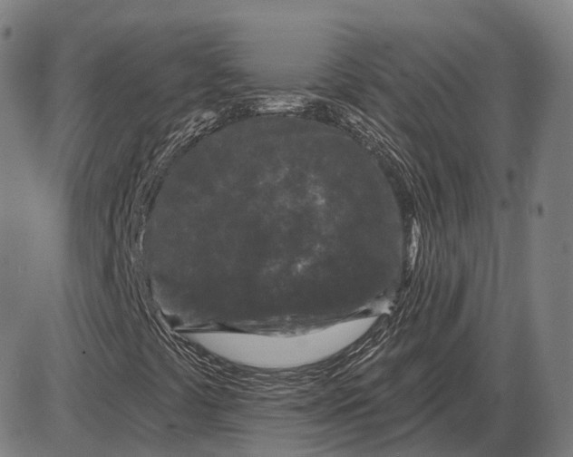X0000085021441200703261208