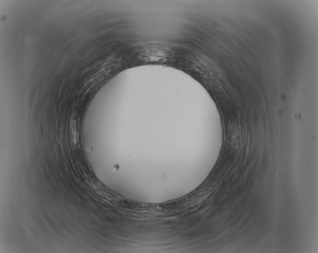 X0000085021442200703261208