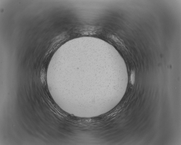 X0000085021444200703261208