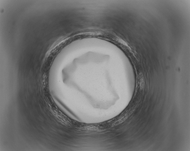 X0000085021448200703261208