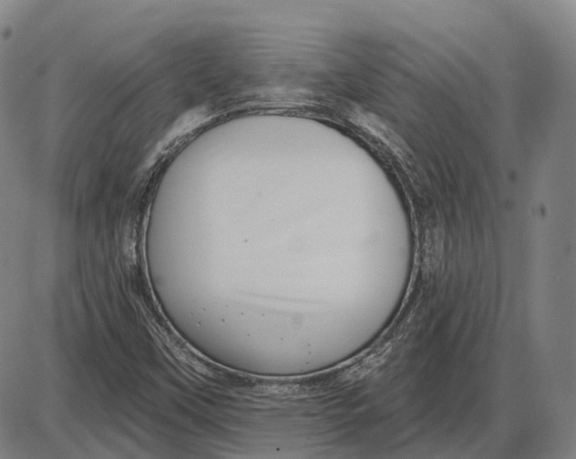 X0000085021451200703261208