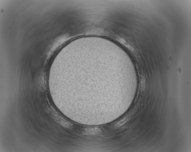 X0000085021454200703261208