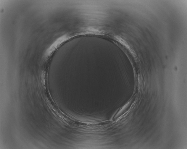 X0000085021455200703261208