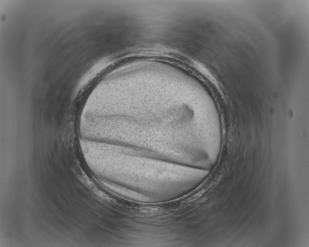 X0000085021456200703261208