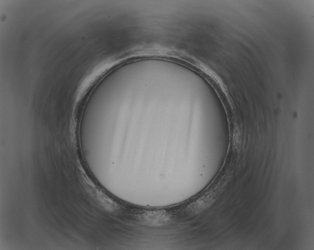X0000085021464200703261208