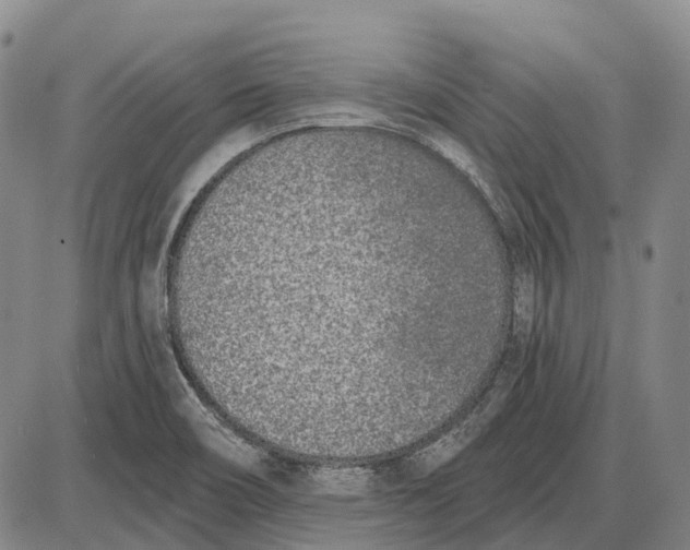 X0000085021466200703261208