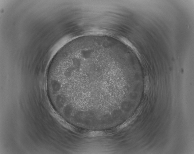 X0000085021467200703261208