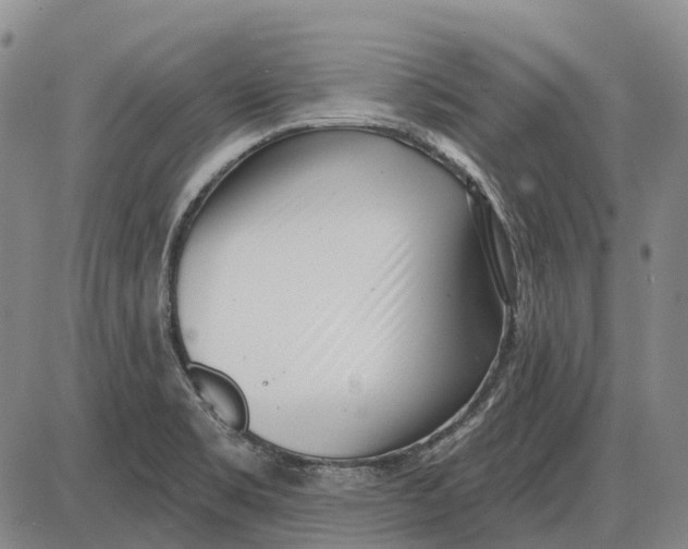 X0000085021469200703261208