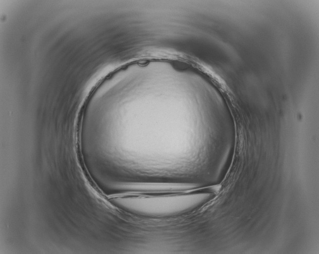 X0000085021471200703261208