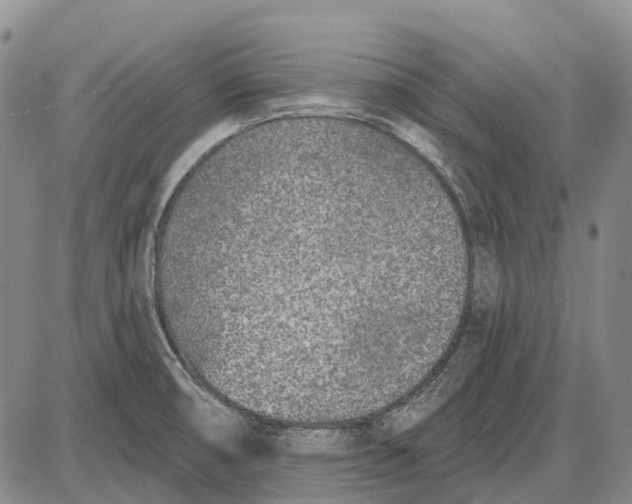 X0000085021474200703261208