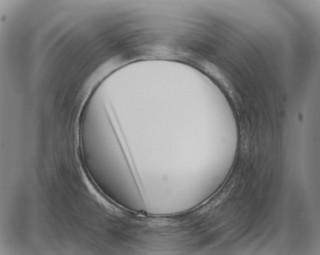 X0000085021479200703261208