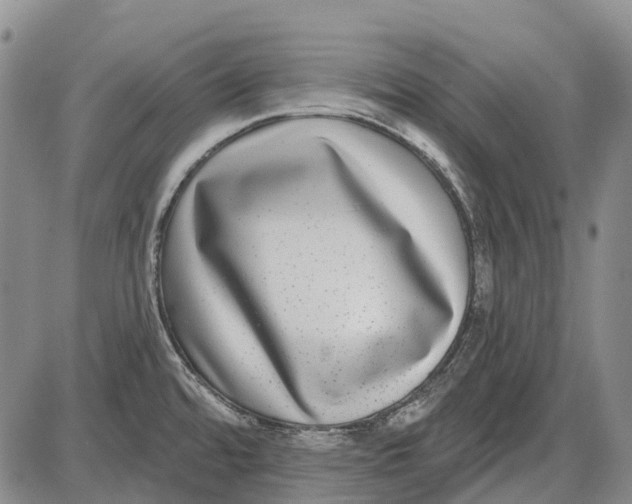 X0000085021480200703261208