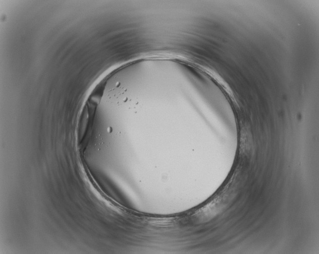 X0000085021484200703261208